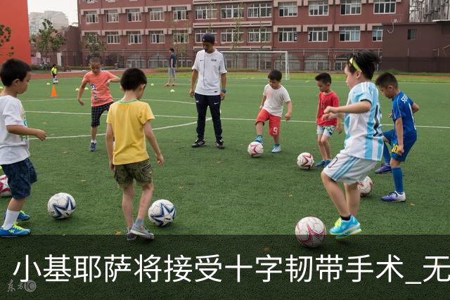 小基耶萨将接受十字韧带手术 无缘世预赛附加赛