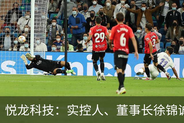 悦龙科技：实控人、董事长徐锦诚因公途中遇交通事故逝世