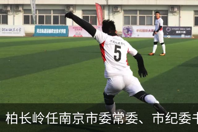 柏长岭任南京市委常委、市纪委书记
