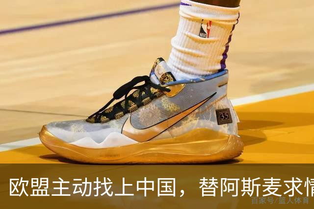 欧盟主动找上中国，替阿斯麦求情：中方别管制了，真顶不住